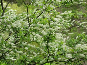 �E���~�Y�U�N��