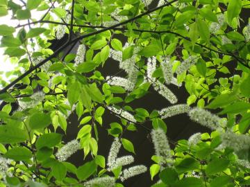 �E���~�Y�U�N��