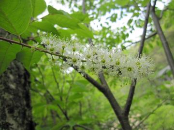 �E���~�Y�U�N��