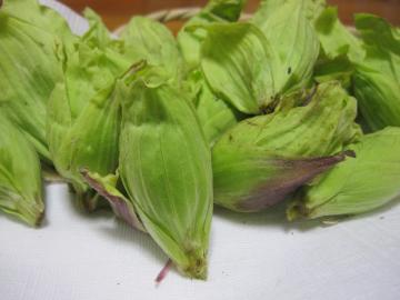 �{�̏t�@�ӂ��̂Ƃ��̍���