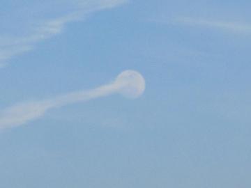 �����O�̌�