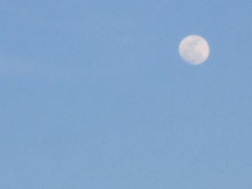 �����O�̌�