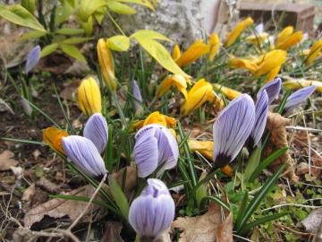 �t�̒�@�T�t������