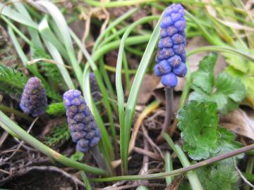 �t�̒�@���X�J��