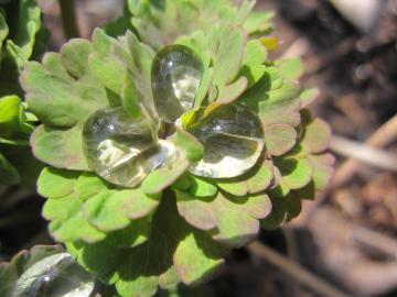 �����܂��̐��H