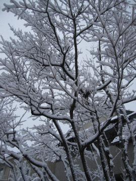 �t�@���O�̐�