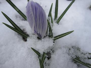 �t�@���O�̐�