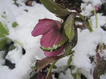 �t�@���O�̐�