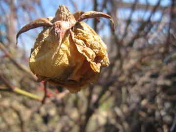 �e�B�[�W���O�W���[�W�A�@�C���O���b�V�����[�Y