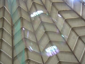 �V���{����