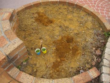 �N���s�A�@(�X�[�p�[�C���_���\�E)