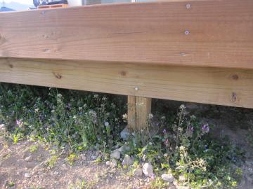 �G���K�[�f��