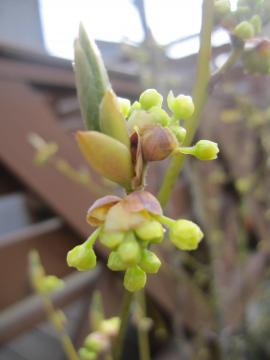 �N�����W