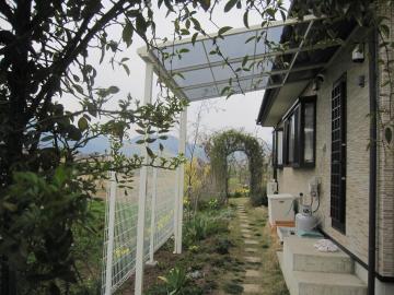 �A���~�e���X�{�H����