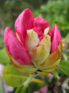 ���Ⴍ�Ȃ�