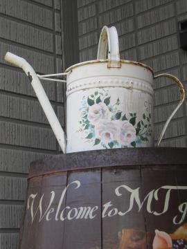 �E�G���J���M�@���C���M