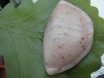 ������݁@���˂�