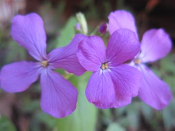 ���i���A