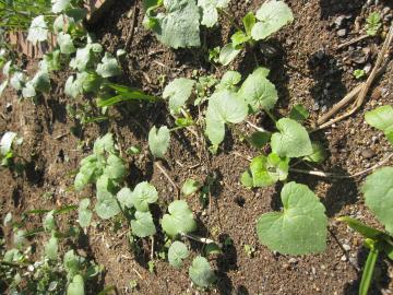 ���i���A