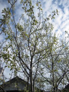 �W�����x���[