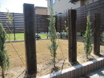 �N���s�A(�X-�p�[�C���_���\�E)