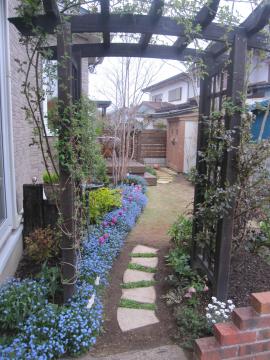 �킷��Ȃ����̒�