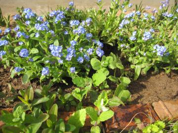 ��ɐA�������X���i�O�T