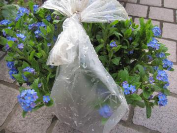 ��ɐA�������X���i�O�T