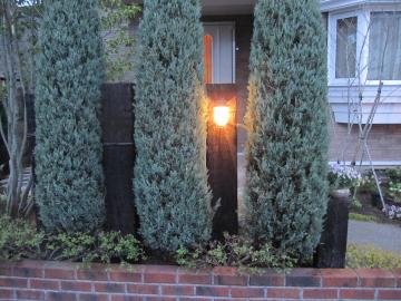 �D�����C�g