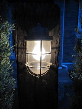 �D�����C�g