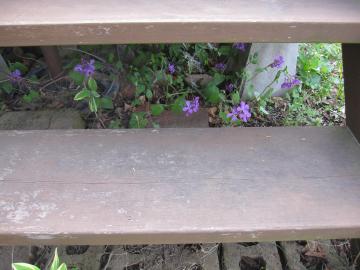 �f�b�L���ō炭�@���i���A