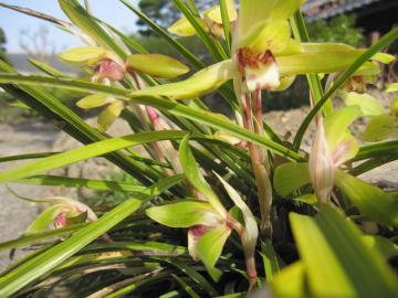 �V��������