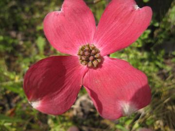 �n�i�~�Y�L�`�F���L�[�T���Z�b�g