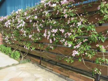 �N���}�`�X�E�����^�i�E�G���U�x�X