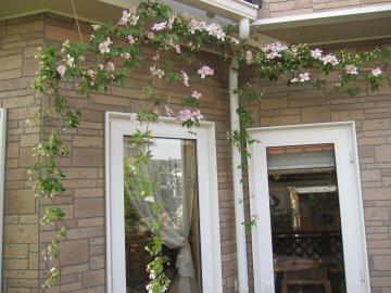 �N���}�`�X�E�����^�i�E���[�x���X