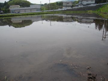 �����܂��Ⴍ��