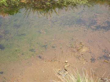 �����܂��Ⴍ��