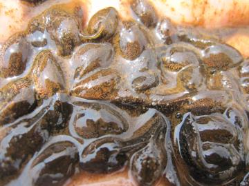 �����܂��Ⴍ��