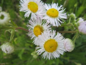 �n���W�I��