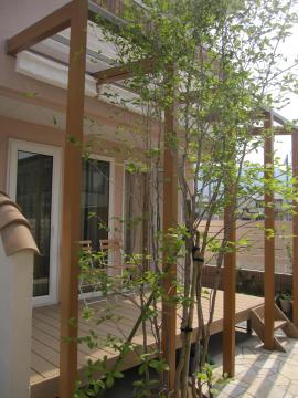 �R�R�}�e���X�@�V�����̊�����