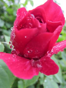 �u���f�B�[�E�G�X�g