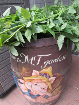 �x���K���b�g