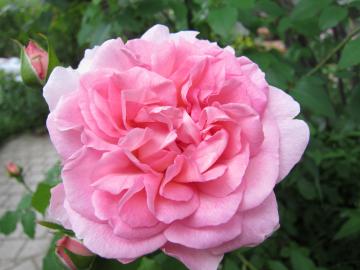 ���W�I�^�C���X