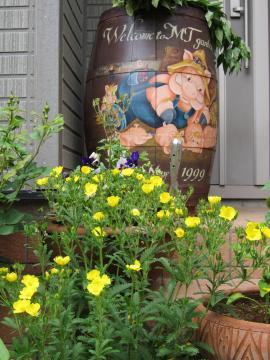 �x���K���b�g&���C���M