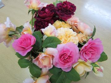 �K�N������