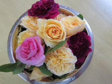 �K�N������