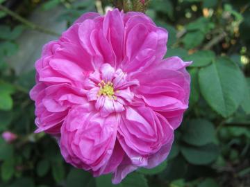 �W�F�[���X�~�b�`�F��