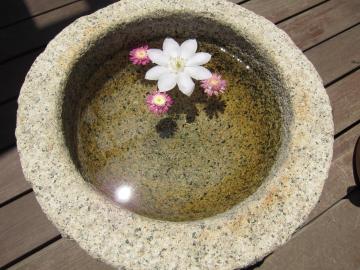 �ԉ��@���z�{