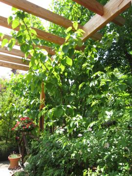 �ԉ��@���z�{