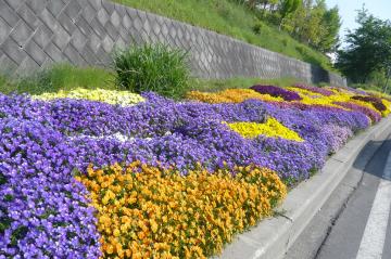 ���z�{�̓��H�e